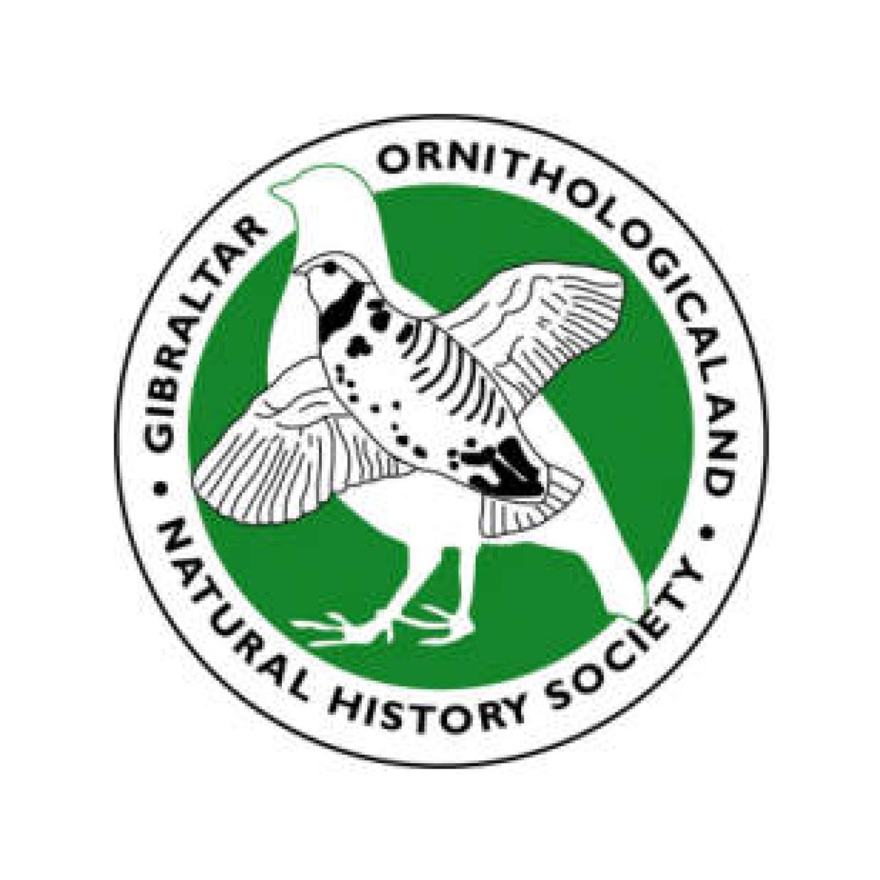 Gibraltar Ornithological & Natural History Society